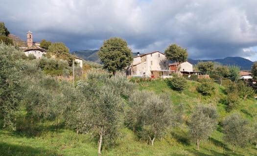 0218, Caratteristico Casale Toscano