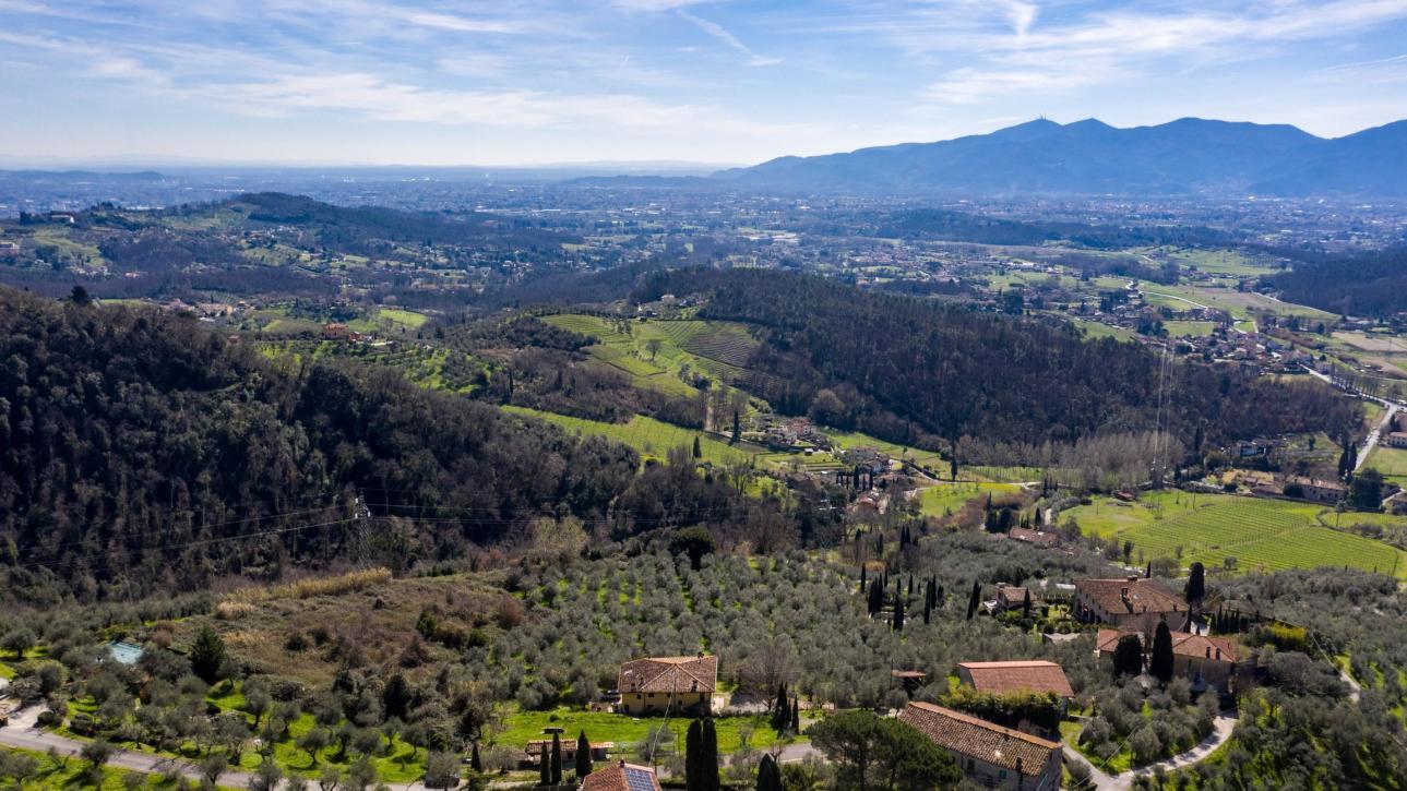 In collina tra gli olivi mansarda ristrutturata - Lucca