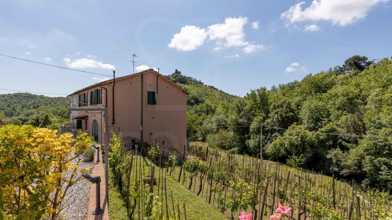 LA CASA NELLA VIGNA - Lucca