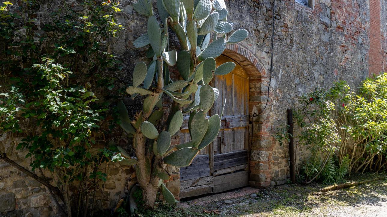 Il podere - 