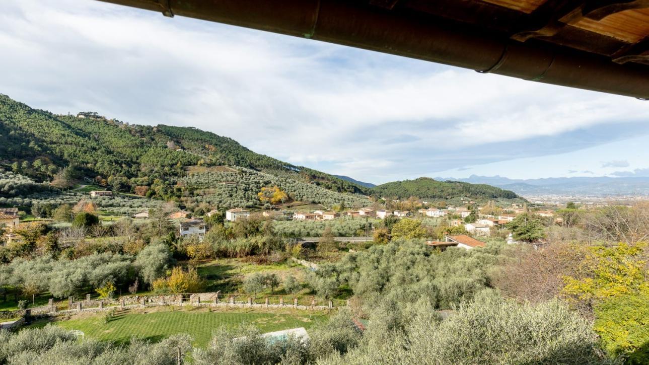 Rustico immerso del verde